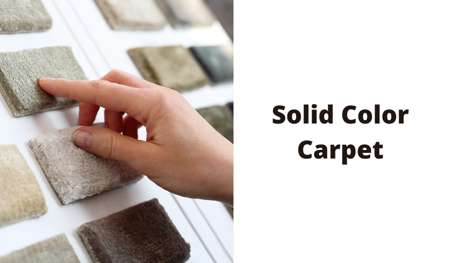 How to Choose the Right Carpet Colors for Your Home (Carpet Trends in