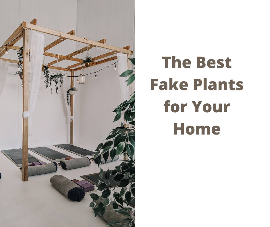 The Best Fake Plants for Your Home - That Don’t Look Fake