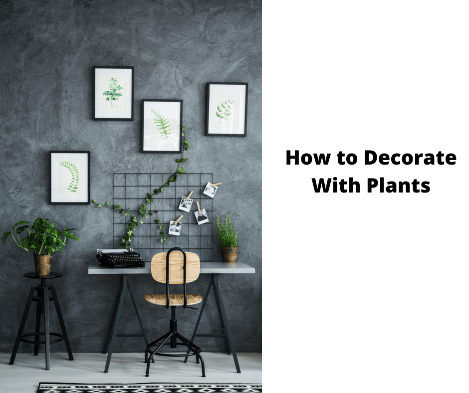 How to Decorate With Plants