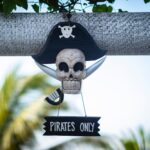 Top Pirate Decorations Ideas For a Theme Party