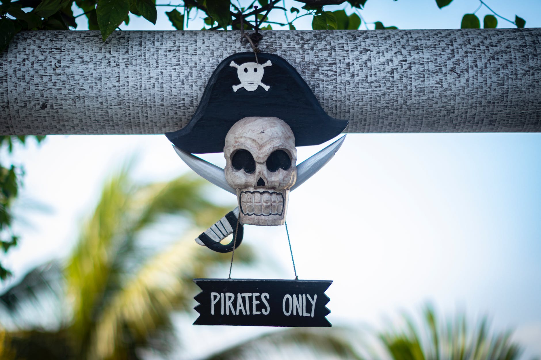 Top Pirate Decorations Ideas For a Theme Party