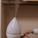 Can a Humidifier and a Fan be used simultaneously?
