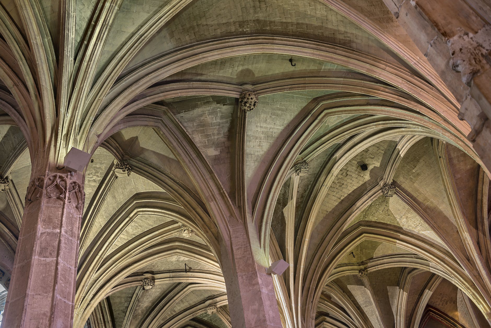a vaulted ceiling with purple columns