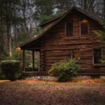 brown cabin in the woods on daytime