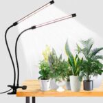 Best Grow Lights for Indoor Plants: Top Picks for 2024