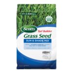 Best Grass Seed for a Lush Lawn in 2024
