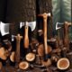 15 Best Axes Every Lumberjack Needs in Their Arsenal IM