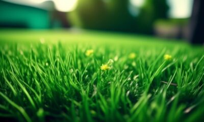15 Best Grass and Weed Killers for a Pristine Lawn Tried and Tested Recommendations IM
