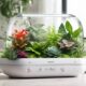 15 Best Humidifiers for Plants to Keep Your Leafy Friends Happy and Healthy IM