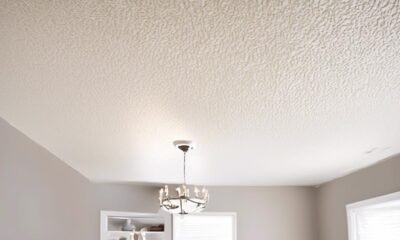 15 Best Ways to Paint a Popcorn Ceiling Like a Pro IM