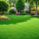 15 Best Weed Sprays for Lawns Say Goodbye to Pesky Weeds in Your Yard IM