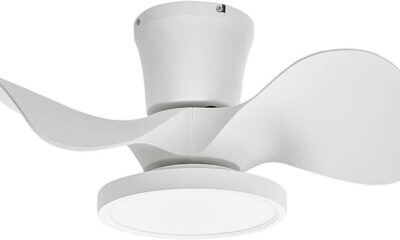 22 inch led ceiling fan 1