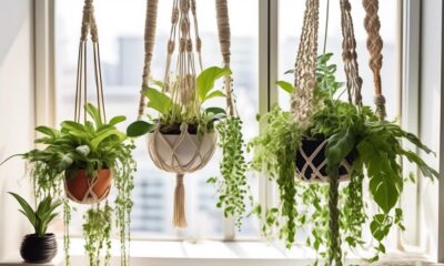 apartment friendly plants for vibrant living
