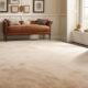 carpet replacement frequency guide