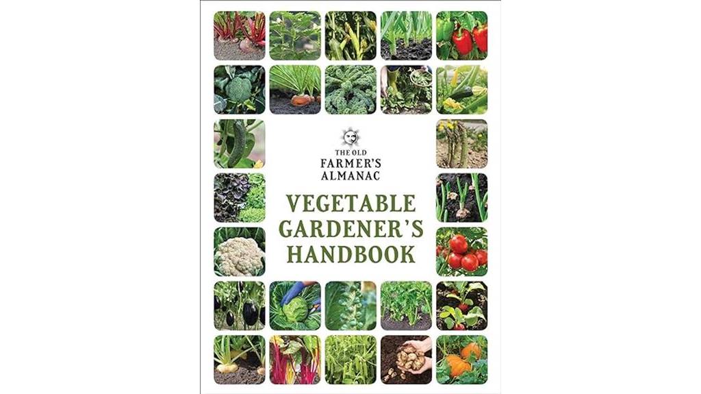 comprehensive guide to vegetable gardening