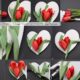creating a diy tulip wreath