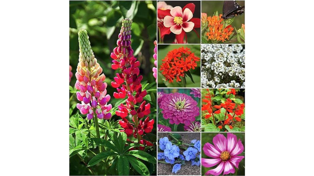 diverse seed mix for hummingbirds and butterflies