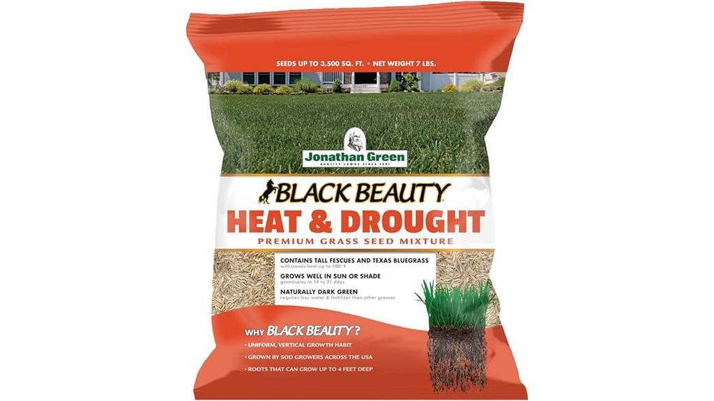drought resistant grass seed