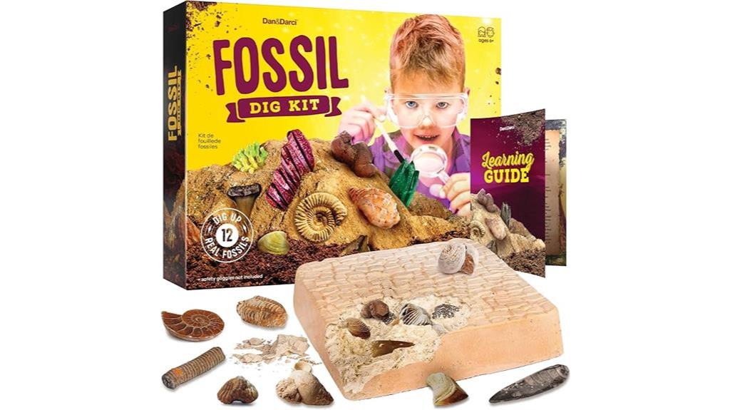 educational fossil excavation kit