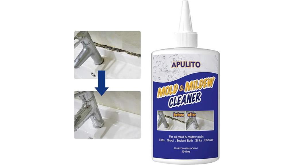 effective mold stain remover