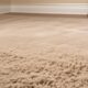frequency of carpet replacement