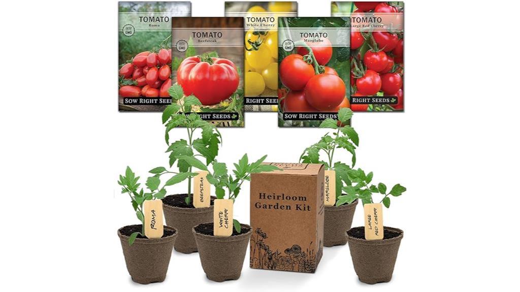 heirloom tomato seed grow