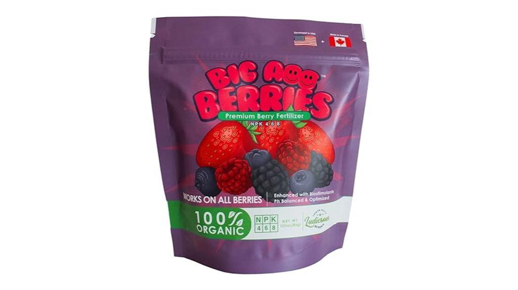 nutrient rich fertilizer for berries