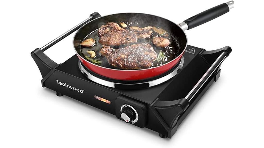portable electric stove review
