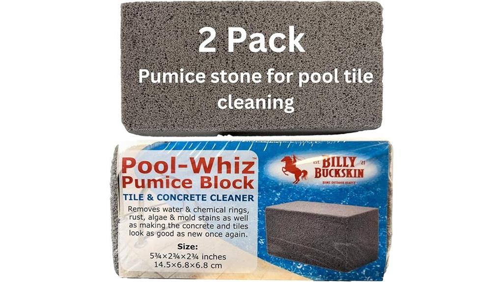 pumice block pool cleaner