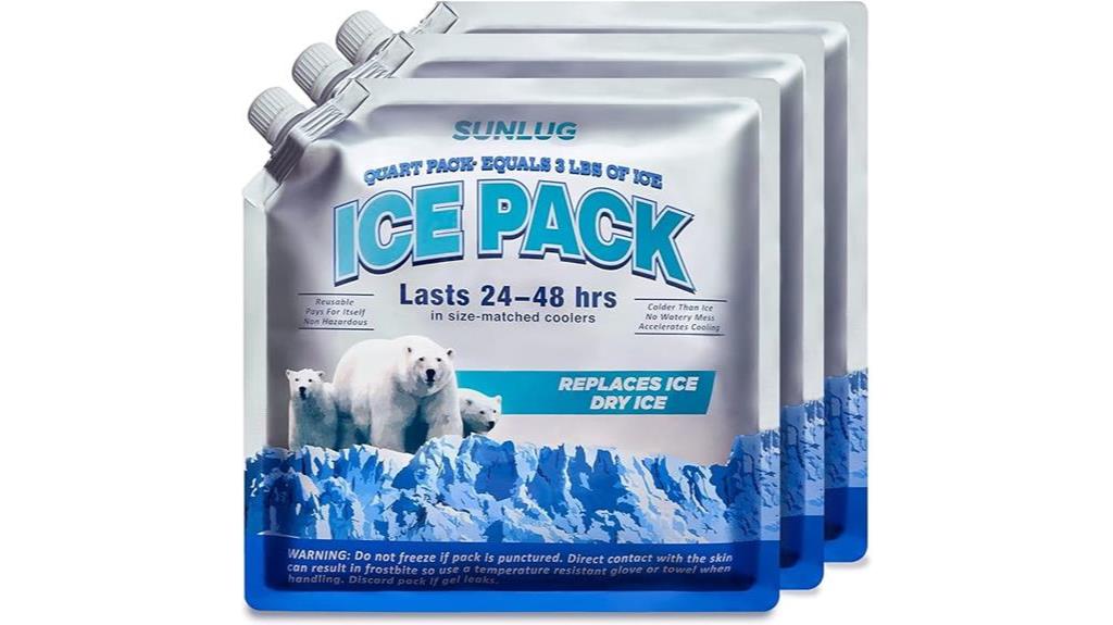 reusable ice packs for coolers