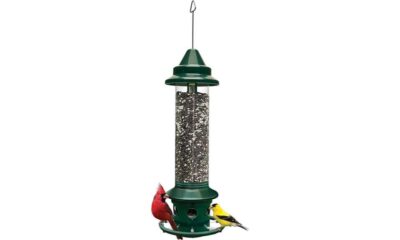 squirrel proof bird feeder 2