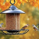 squirrel proof bird feeders recommended