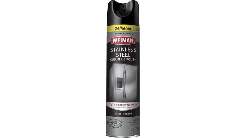 stainless steel cleaner aerosol