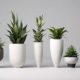 top plant pots for indoor gardens