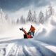 top snowblowers for affordability