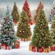 varieties of christmas tree