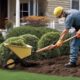 bush removal safety tips