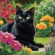 cat repellents for garden