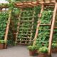 cucumber trellis garden designs
