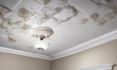 effective bathroom ceiling mold remover