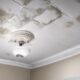 effective bathroom ceiling mold remover