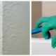 mold removal expert advice