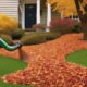mulching leaves for yard