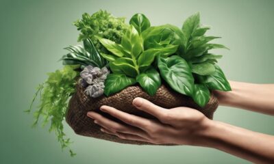 optimal nutrition for indoor plants