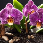 optimal soil for orchids