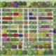 organize your garden beautifully