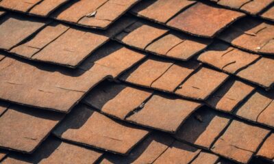 roof shingle replacement frequency