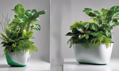 self watering planters for thriving