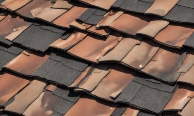 shingle roofing cons overview