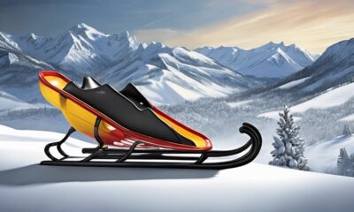 snow sleds for adults